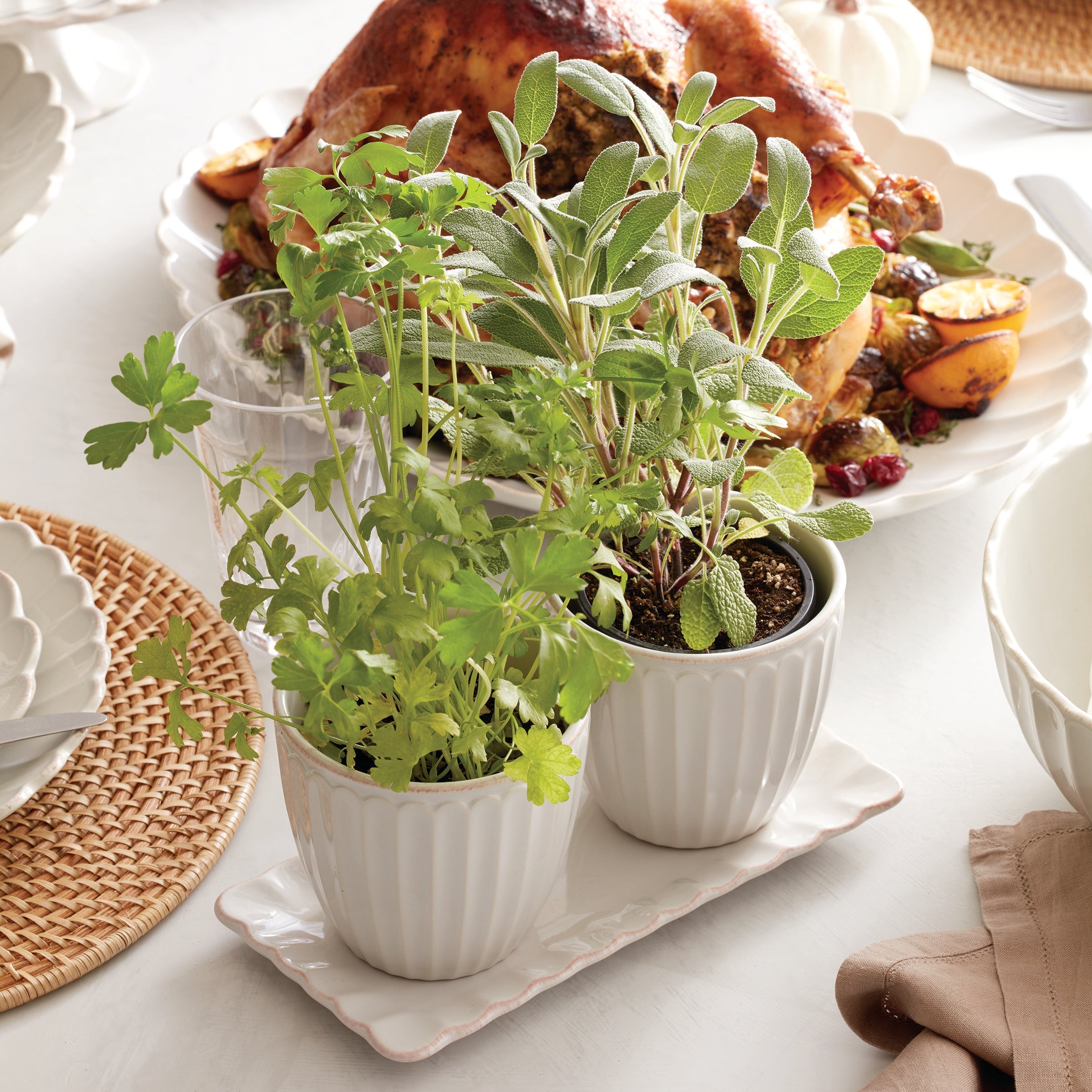 Lenox Premium French Perle Scallop White 3-Piece Herb Pot Set - Image 5