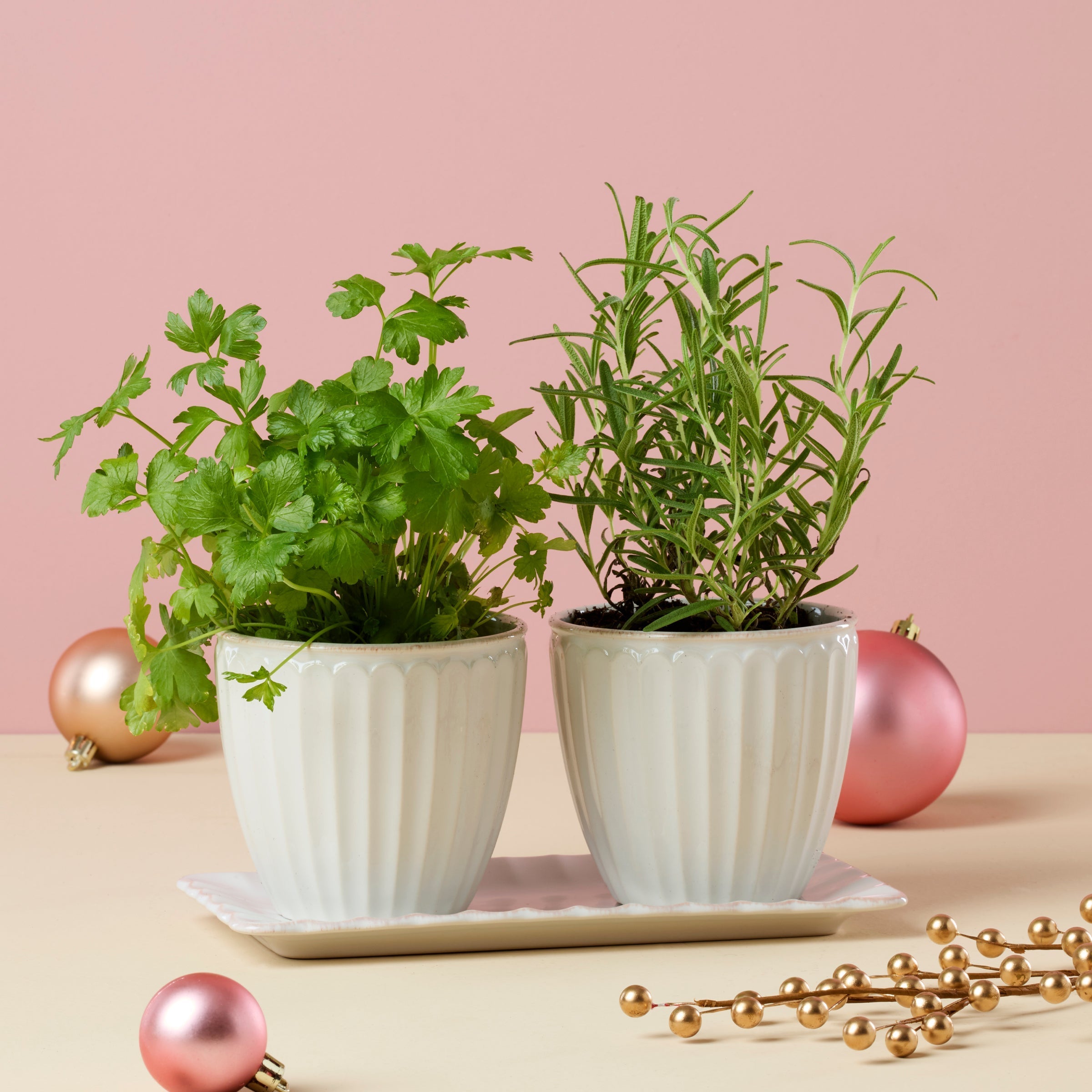 Lenox Premium French Perle Scallop White 3-Piece Herb Pot Set - Image 4